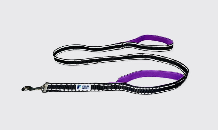 6Ft Double Handle Reflective Leash with Padded Handles