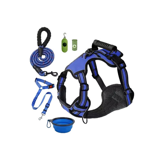 Best Leashes for Trail Hiking with Your Dog