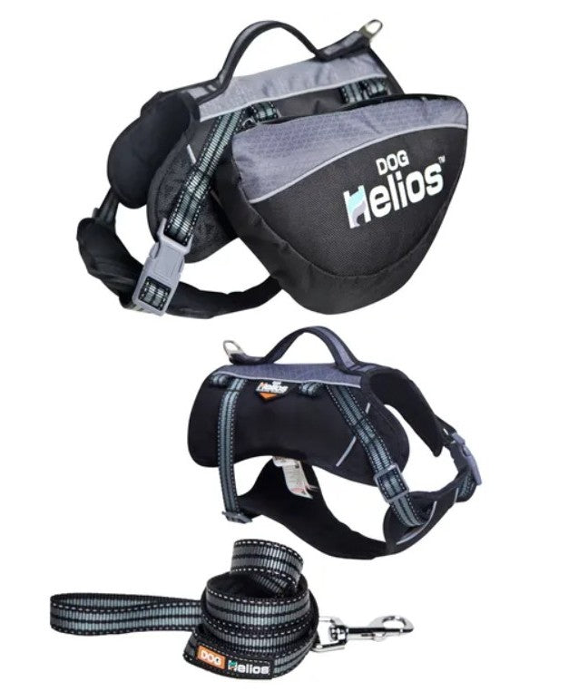How to Choose the Right Harness for Your Dog: A Complete Guide