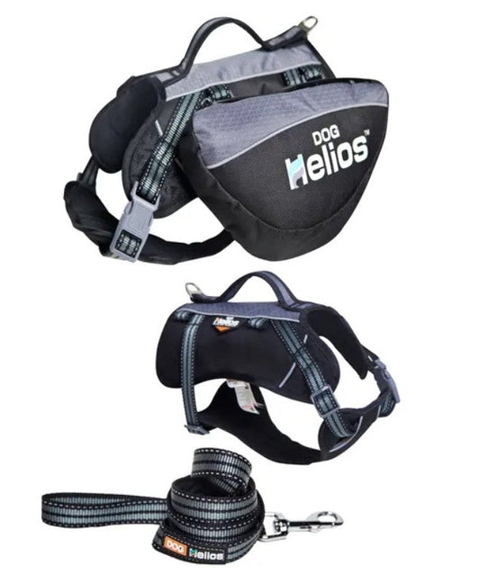 How to Choose the Right Harness for Your Dog: A Complete Guide