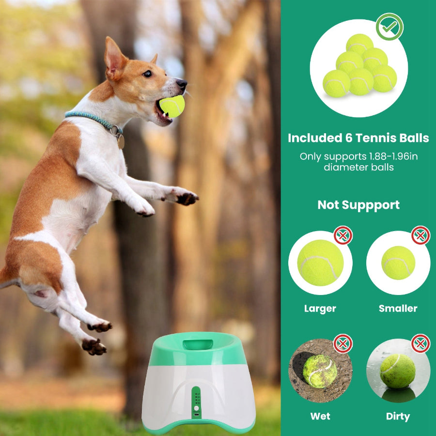 Automatic Ball Launcher for Dogs | 3 Distances | 6 Balls Included