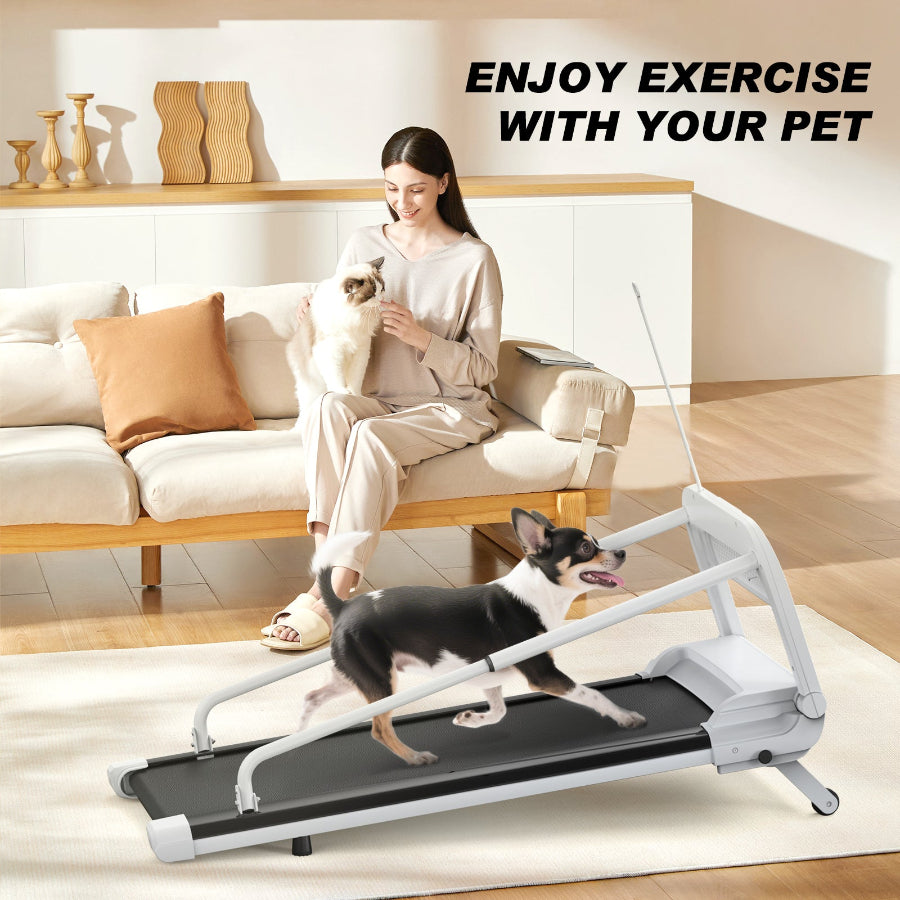 2.5HP Smart Dog Treadmill | Ultra-Quiet & Foldable Design