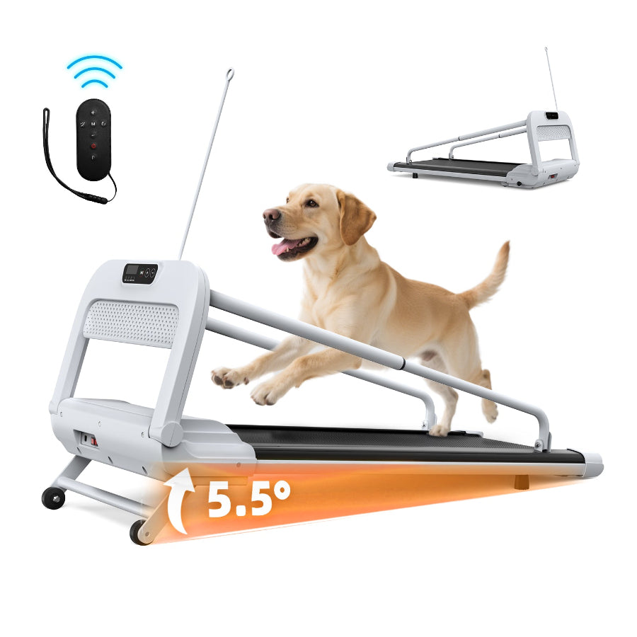 2.5HP Smart Dog Treadmill | Ultra-Quiet & Foldable Design